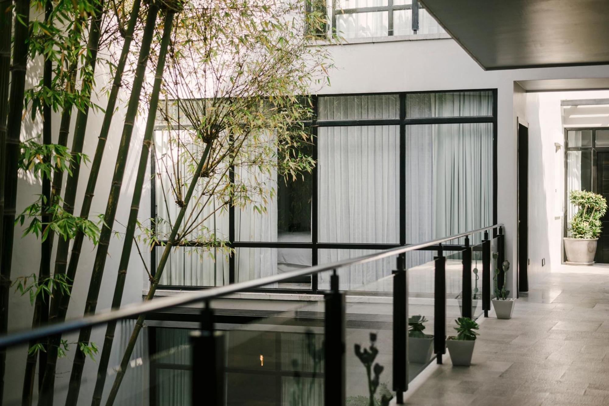 Hotel Matilda, A Member Of Design Hotels San Miguel de Allende Bagian luar foto