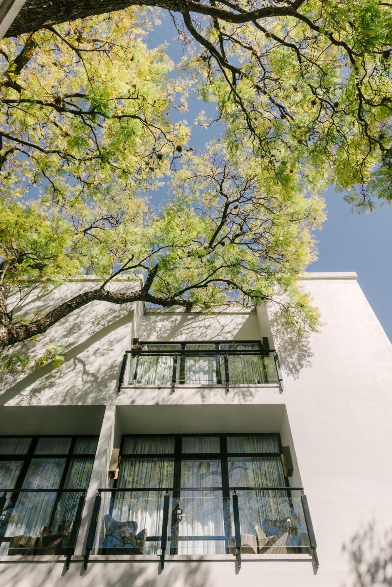 Hotel Matilda, A Member Of Design Hotels San Miguel de Allende Bagian luar foto